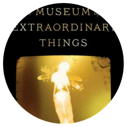The Museum of Extraordinary Things, by Alice Hoffman